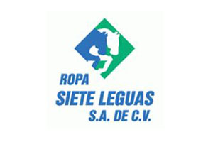 logos_0027_Portafolio de capacitacion-7